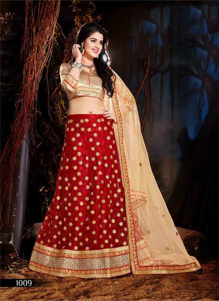 Red designer lehenga choli 