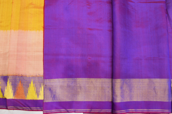 Patola saree in multi colour
